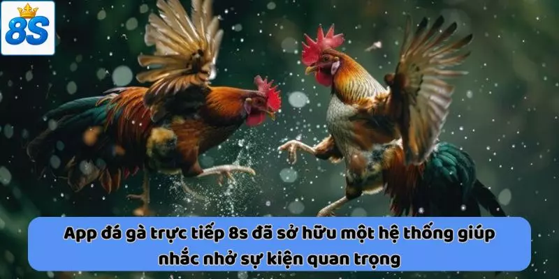 App đá gà trực tiếp 8s 