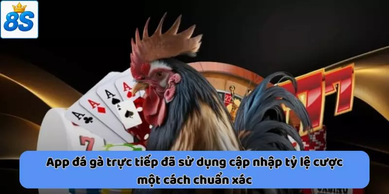 App đá gà trực tiếp 