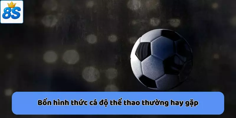 Bốn hình thức cá độ thể thao thường hay gặp