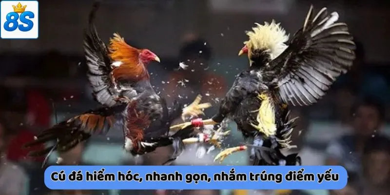 Cú đá hiểm hóc, nhanh gọn, nhắm trúng điểm yếu
