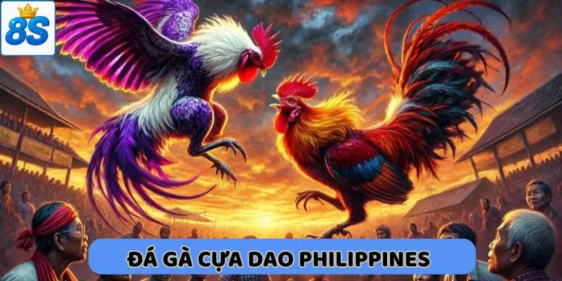 đá gà cựa dao philippines tại 8s