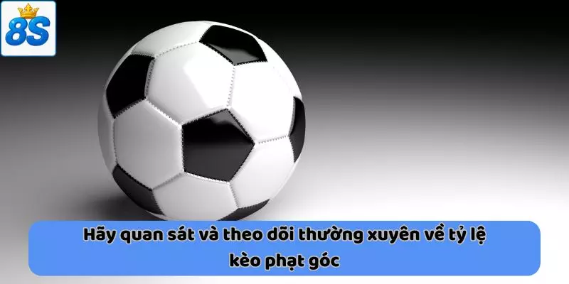 Hãy quan sát và theo dõi thường xuyên về tỷ lệ kèo phạt góc
