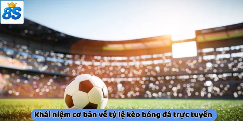 Khái niệm cơ bản về tỷ lệ kèo bóng đá trực tuyến