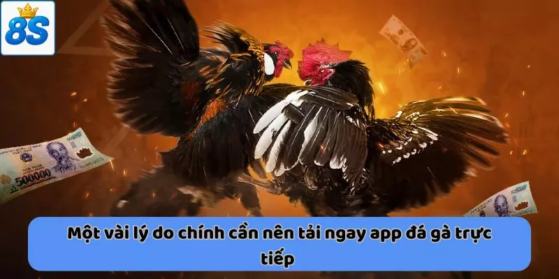 Một vài lý do chính cần nên tải ngay app đá gà trực tiếp 
