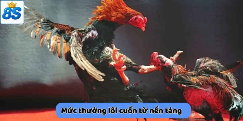 Mức thưởng lôi cuốn từ nền tảng