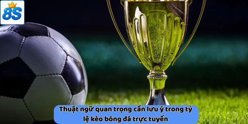 Thuật ngữ quan trọng cần lưu ý trong tỷ lệ kèo bóng đá trực tuyến