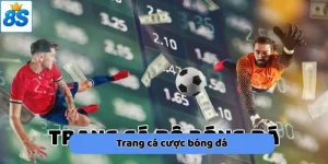 Trang Cá Cược Bóng Đá 8s